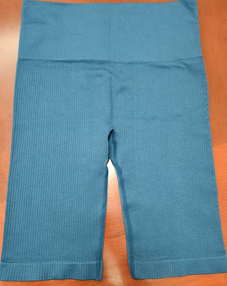 Seamless Basic Shorts 000086