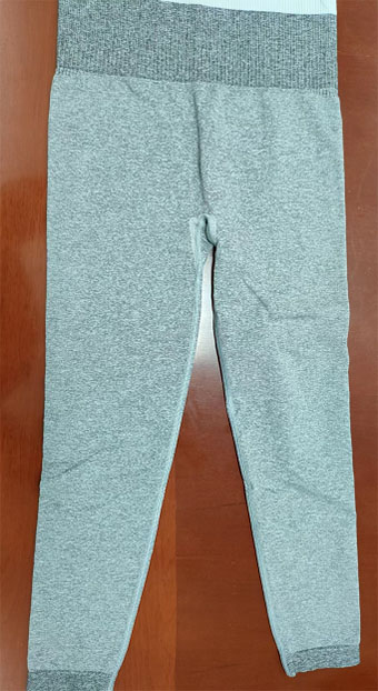 Seamless Leggings 9566